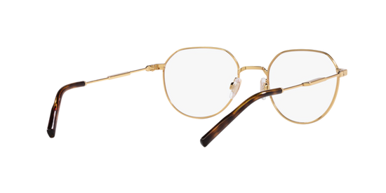 Dolce & Gabbana Eyeglasses DG1349 02