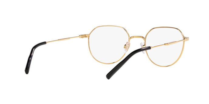 Dolce & Gabbana Eyeglasses DG1349 1311