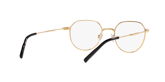 Dolce & Gabbana Eyeglasses DG1349 1311