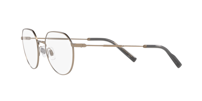 Dolce & Gabbana Eyeglasses DG1349 1352