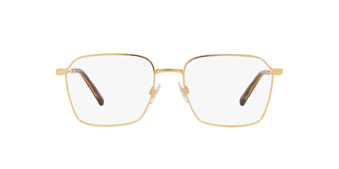 Dolce & Gabbana Eyeglasses DG1350 02