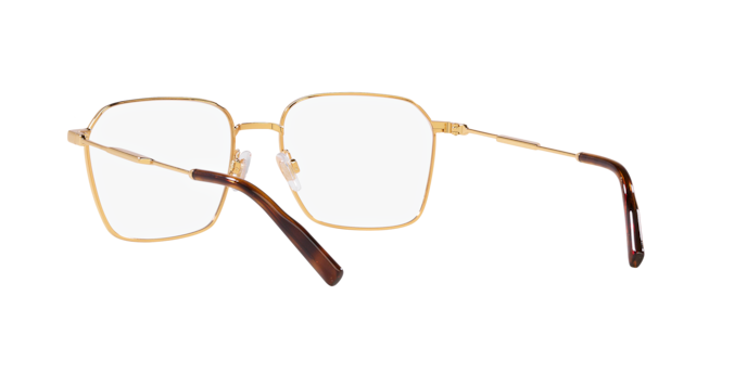 Dolce & Gabbana Eyeglasses DG1350 02