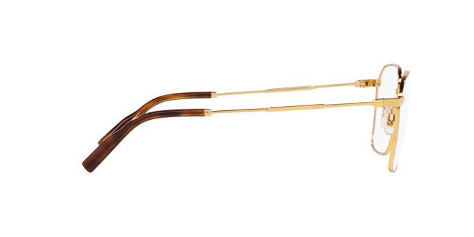 Dolce & Gabbana Eyeglasses DG1350 02