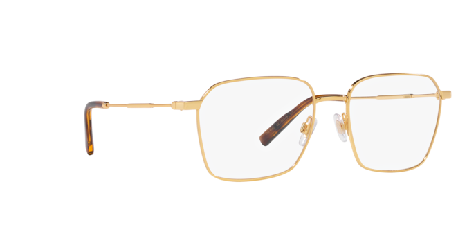 Dolce & Gabbana Eyeglasses DG1350 02