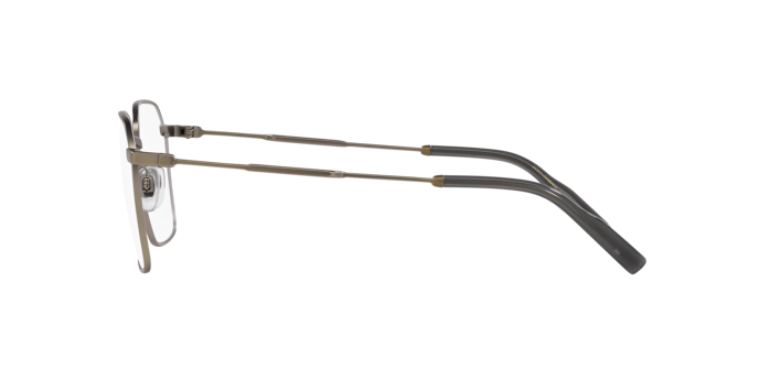 Dolce & Gabbana Eyeglasses DG1350 1352