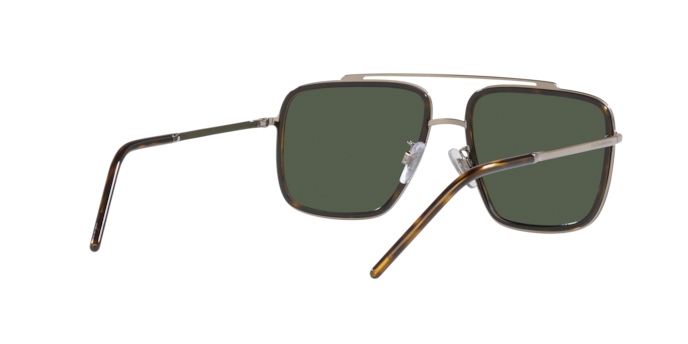 Dolce & Gabbana Sunglasses DG2220 13359A