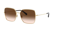 Dolce & Gabbana DG2242 02/13