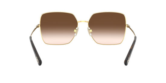 Dolce & Gabbana Sunglasses DG2242 02/13