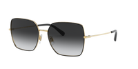 Dolce & Gabbana DG2242 13348G
