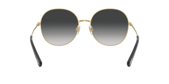 Dolce & Gabbana Sunglasses DG2243 13348G