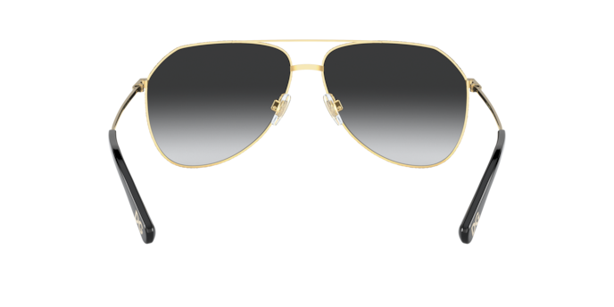 Dolce & Gabbana Sunglasses DG2244 13348G