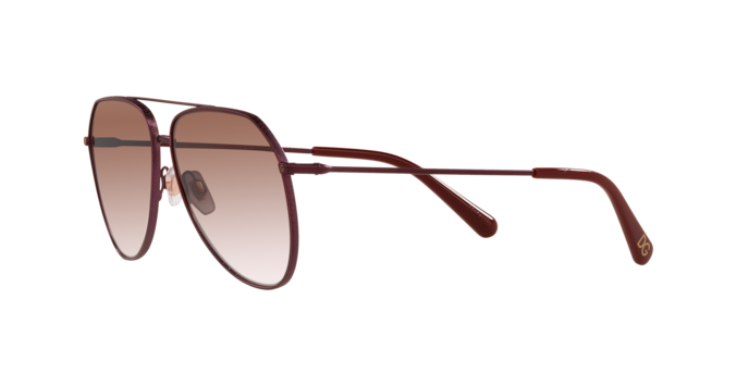 Dolce & Gabbana Sunglasses DG2244 13558D