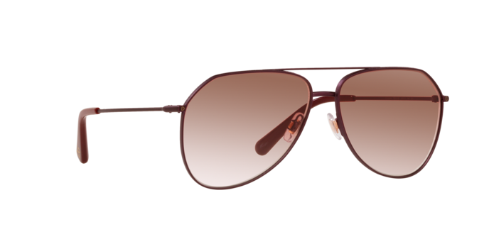 Dolce & Gabbana Sunglasses DG2244 13558D