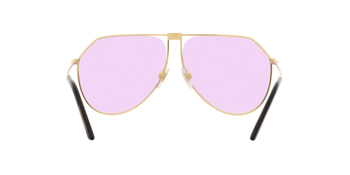 Dolce & Gabbana Sunglasses DG2248 02/N0