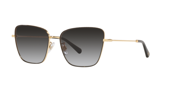 Dolce & Gabbana Sunglasses DG2275 13348G