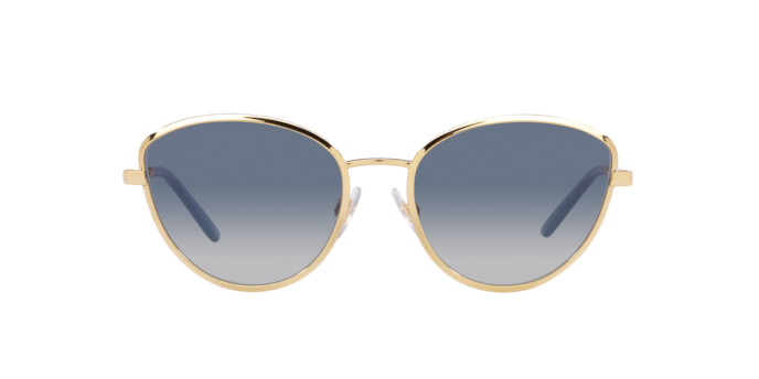 Dolce & Gabbana Sunglasses DG2280 02/14