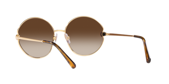 Dolce & Gabbana Sunglasses DG2282B 02/13