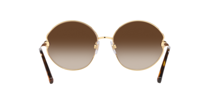 Dolce & Gabbana Sunglasses DG2282B 02/13