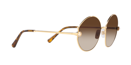 Dolce & Gabbana Sunglasses DG2282B 02/13