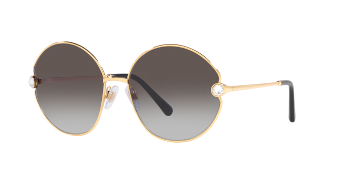 Dolce & Gabbana Sunglasses DG2282B 02/8G