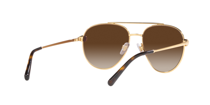 Dolce & Gabbana Sunglasses DG2283B 02/13