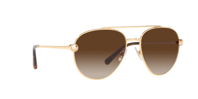 Dolce & Gabbana Sunglasses DG2283B 02/13