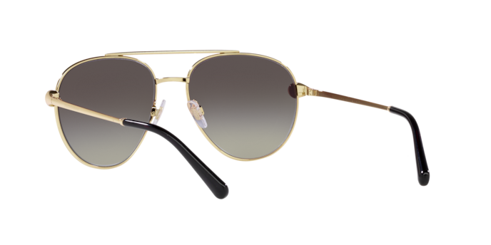 Dolce & Gabbana Sunglasses DG2283B 02/8G
