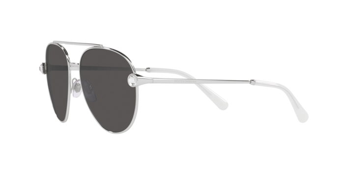 Dolce & Gabbana Sunglasses DG2283B 05/87