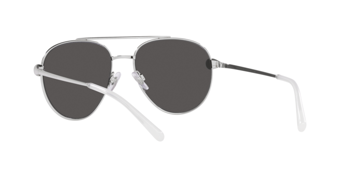 Dolce & Gabbana Sunglasses DG2283B 05/87