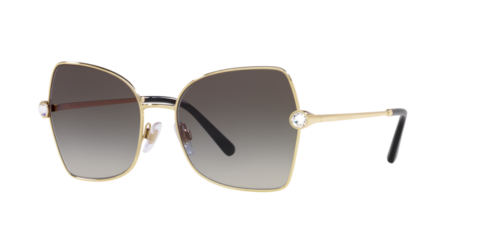 Dolce & Gabbana Sunglasses DG2284B 02/8G