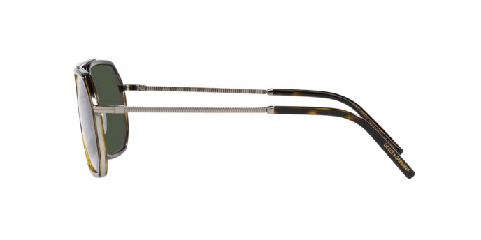 Dolce & Gabbana Sunglasses DG2285 13359A