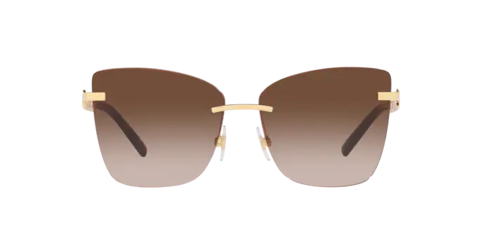 Dolce & Gabbana Sunglasses DG2289 02/13