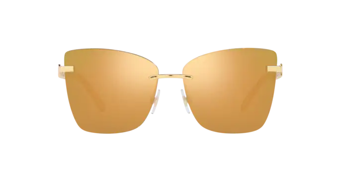 Dolce & Gabbana Sunglasses DG2289 02/7P
