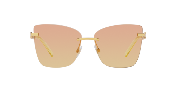 Dolce & Gabbana Sunglasses DG2289 02/EL
