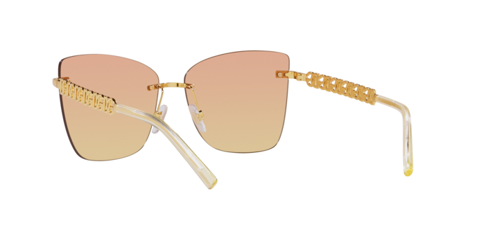 Dolce & Gabbana Sunglasses DG2289 02/EL