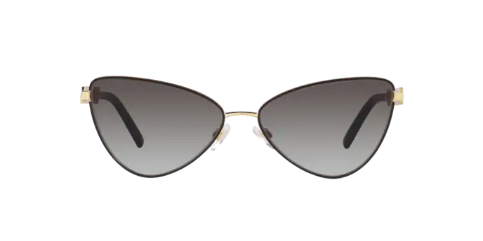 Dolce & Gabbana Sunglasses DG2290 13118G
