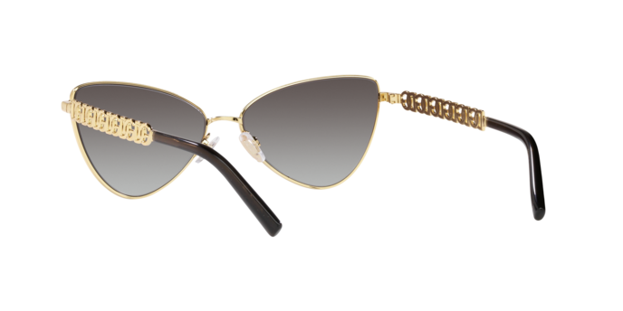 Dolce & Gabbana Sunglasses DG2290 13118G