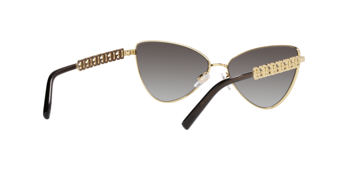 Dolce & Gabbana Sunglasses DG2290 13118G