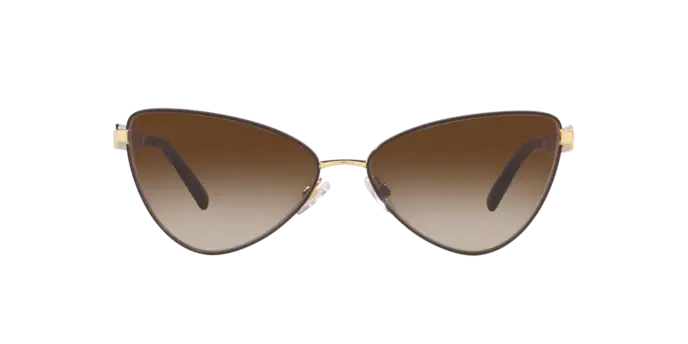Dolce & Gabbana Sunglasses DG2290 132013