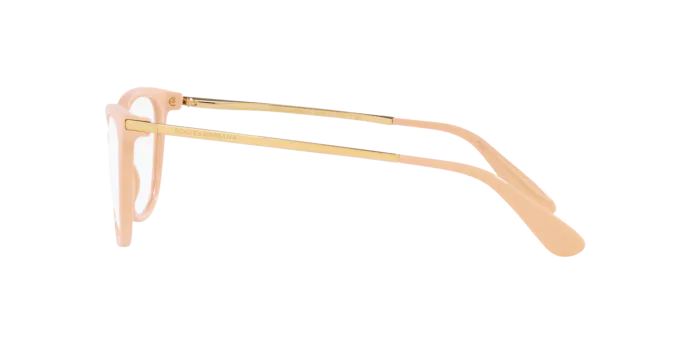 Dolce & Gabbana Eyeglasses DG3258 3095