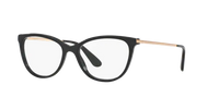Dolce & Gabbana DG3258 501