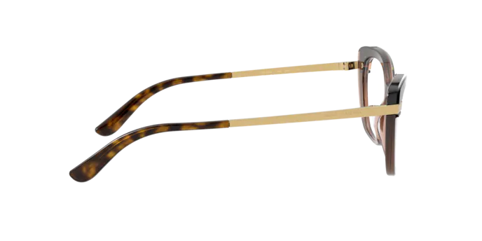 Dolce & Gabbana Eyeglasses DG3325 3256