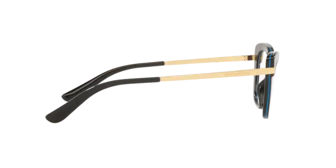 Dolce & Gabbana Eyeglasses DG3325 3318