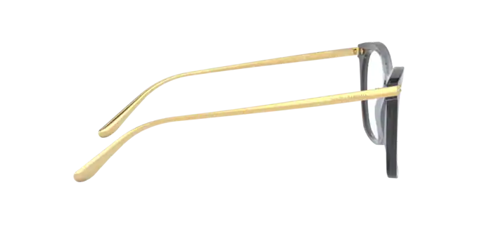 Dolce & Gabbana Eyeglasses DG3331 3268