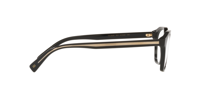 Dolce & Gabbana Eyeglasses DG3336 501