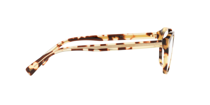 Dolce & Gabbana Eyeglasses DG3336 512