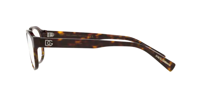 Dolce & Gabbana Eyeglasses DG3339 502