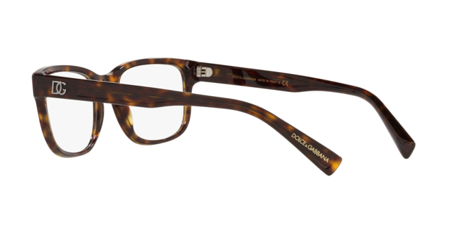 Dolce & Gabbana Eyeglasses DG3341 502