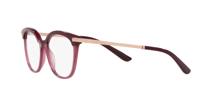 Dolce & Gabbana Eyeglasses DG3346 3247