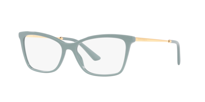 Dolce & Gabbana Eyeglasses DG3347 3346